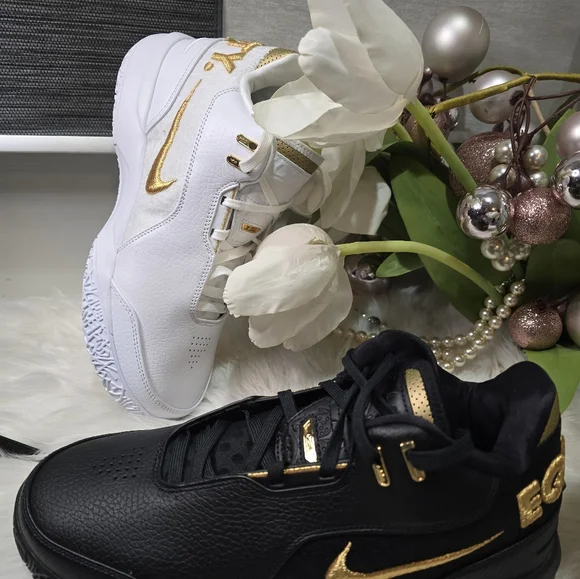 Nike Zoom LeBron NXXT Gen AMPD Equity Mens shoessize10.5 New